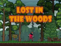 Lost in the Woods